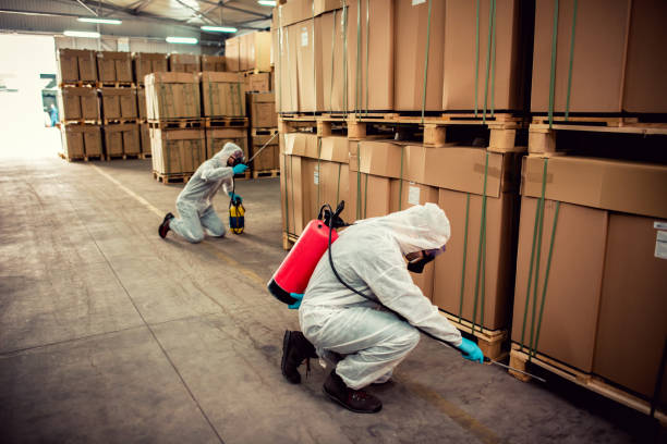 Best Exterminator Services  in Clinton, MD
