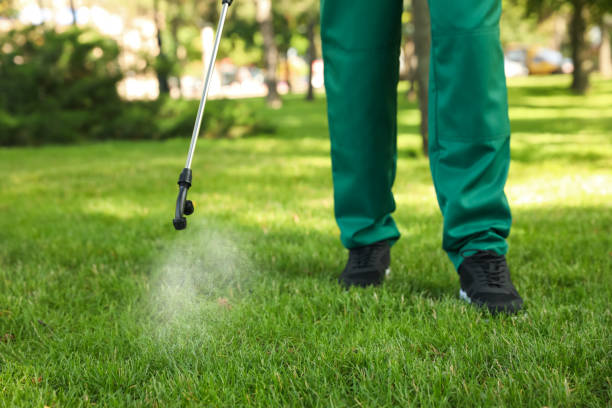 Best Pest Control for Restaurants  in Clinton, MD