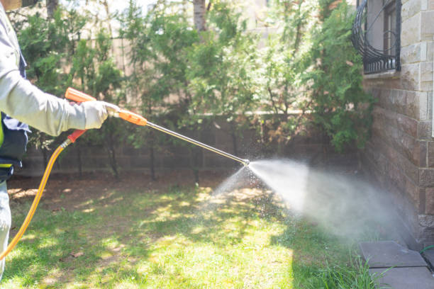 Best Rat Extermination Near Me  in Clinton, MD