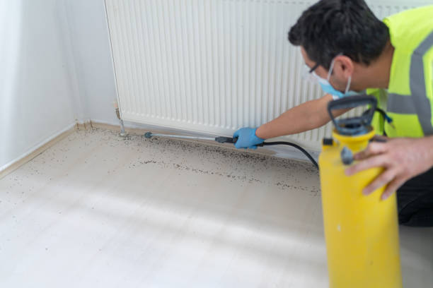 Best Best Pest Control Companies  in Clinton, MD